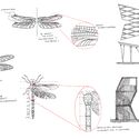 Architecture Inspired by Birds: Fundación Cosmos and the Wetland Parks of Chile - Image 23 of 25